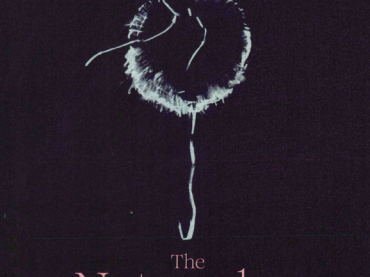 The Nutcracker & Other Stories